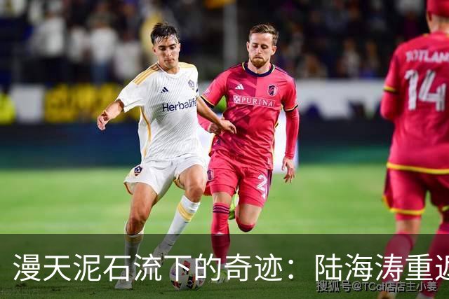 漫天泥石流下的奇迹：陆海涛重返故乡团聚